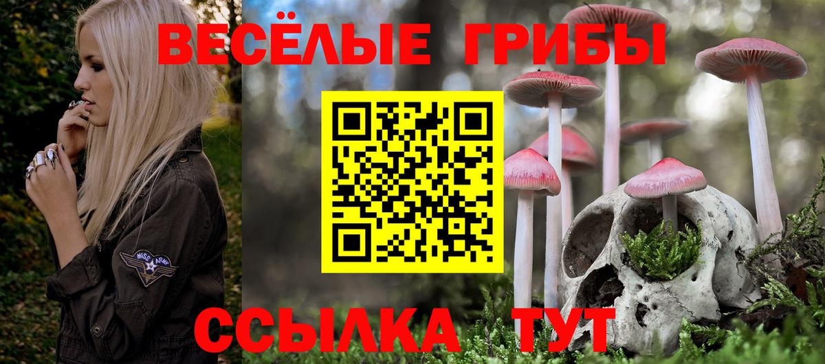 Галлюциногенные грибы прущие грибы  Вход с VPN  Ипатово 